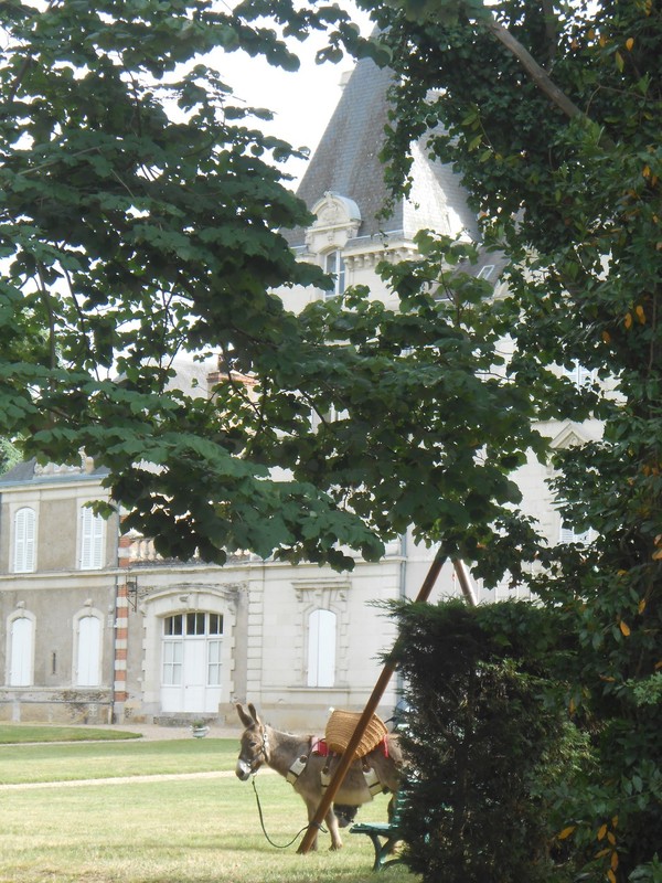 Le château d'Epiré