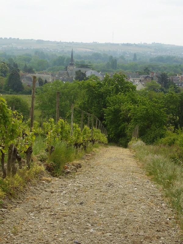 rencontre savennieres