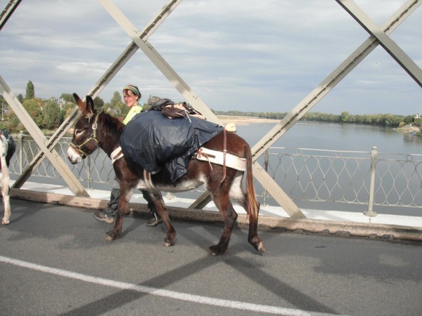 Un petit clin d'oeil