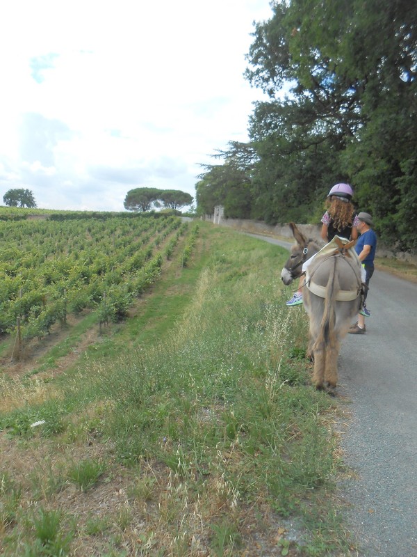 rencontre savennieres